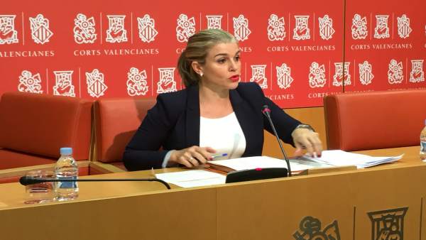 PP es queixa al CGPJ i demana compareixença de Bravo pels "problemes" en la investigació de finançament de Bloc i PSPV PP es queixa al CGPJ i demana compareixença de Bravo pels "problemes" en la investigació de finançament de Bloc i PSPV