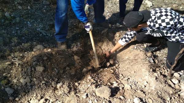 Una de las plantaciones llevadas a cabo en actividades anteriores Una de las plantaciones llevadas a cabo en actividades anteriores
