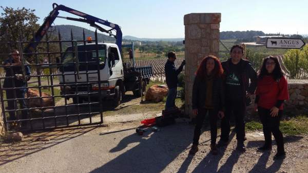 Retirada de las barreras del camino de Can Mallol Retirada de las barreras del camino de Can Mallol