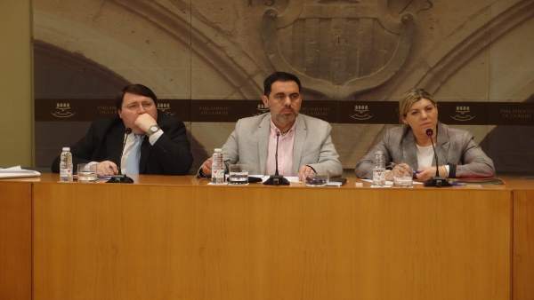 Comisión de Investigación sobre la Consejería de Presidencia Comisión de Investigación sobre la Consejería de Presidencia