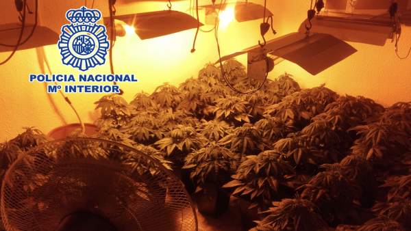 Policía Nacional Nota De Prensa Y Foto 'La Policía Nacional Se Incauta De 256 Pl Policía Nacional Nota De Prensa Y Foto 'La Policía Nacional Se Incauta De 256 Pl