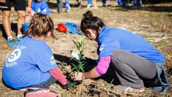 Global Omnium crea 'Bosques de agua' Global Omnium crea 'Bosques de agua'