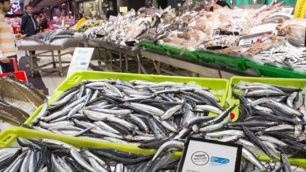 Anchoa del Cantábrico. Bocarte. Pescado. Alimentación. Supermercado. IPC Anchoa del Cantábrico. Bocarte. Pescado. Alimentación. Supermercado. IPC