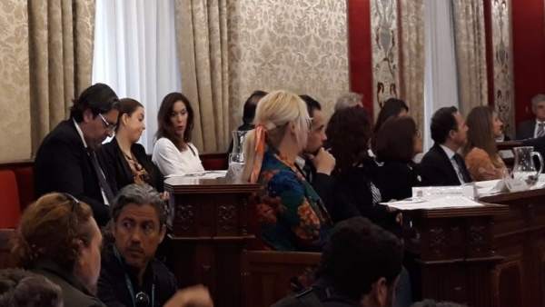 Belmonte responsabilitza Pavón que el PP tinga l'Alcaldia d'Alacant per no restituir-li els seus drets com a regidora Belmonte responsabilitza Pavón que el PP tinga l'Alcaldia d'Alacant per no restituir-li els seus drets com a regidora