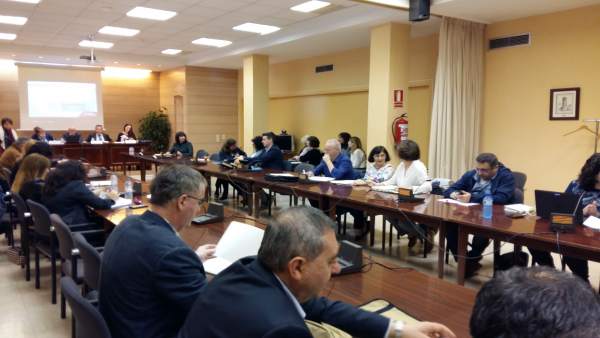 Comité de Seguimiento del FSE Comité de Seguimiento del FSE