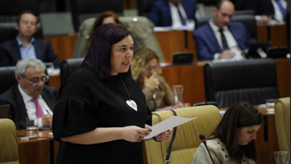 Begoña García Bernal en el pleno de la Asamblea Begoña García Bernal en el pleno de la Asamblea