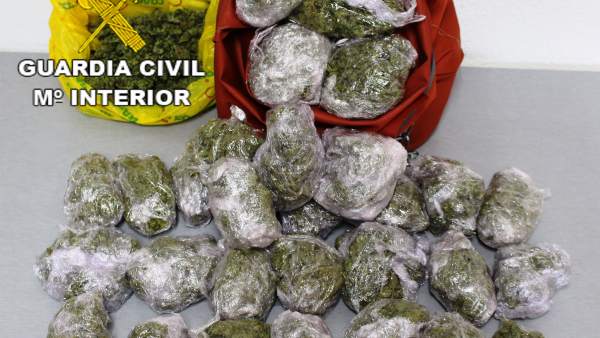 Marihuana intervenida Marihuana intervenida