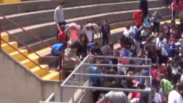 Un enjambre de abejas ataca a unos niños en Castellón