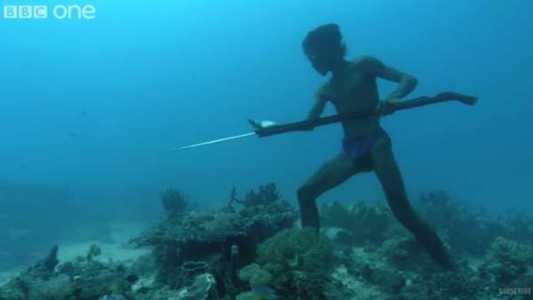 Tribu Tribu