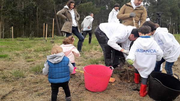 Un árbol nuevo, programa de reforestación de Abanca este domingo 22 de abril Un árbol nuevo, programa de reforestación de Abanca este domingo 22 de abril