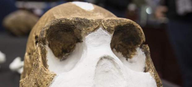 'Homo naledi'