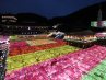 Farolillos encendidos por Buda