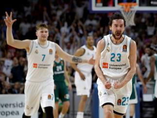 Sergio Llull