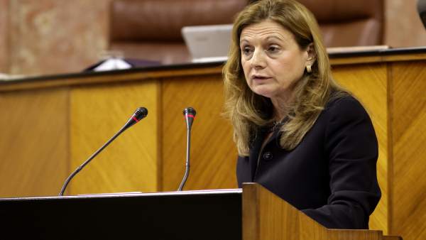 La consejera de Salud, Marina Álvarez. La consejera de Salud, Marina Álvarez.
