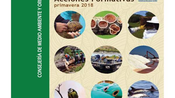 Programa de Acciones Formativas Programa de Acciones Formativas
