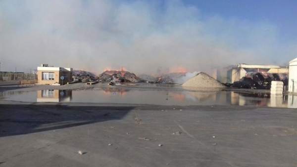 La cooperativa Las Marismas tras el incendio La cooperativa Las Marismas tras el incendio