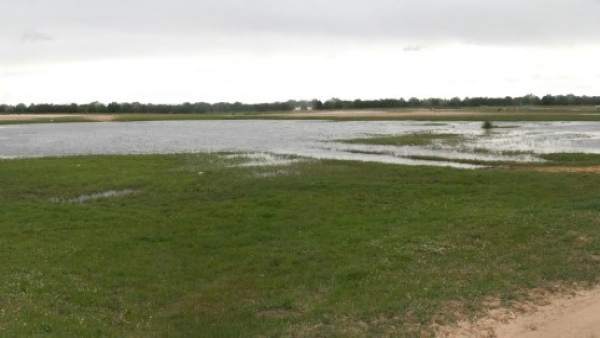 Proyecto de circunvalación en El Rocío Proyecto de circunvalación en El Rocío