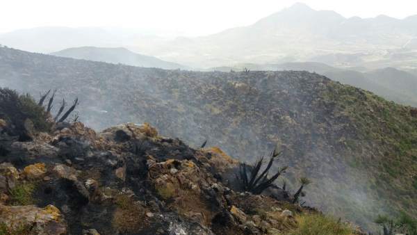 Infoca trabaja en la extinción de un incendio declarado en Níjar Infoca trabaja en la extinción de un incendio declarado en Níjar