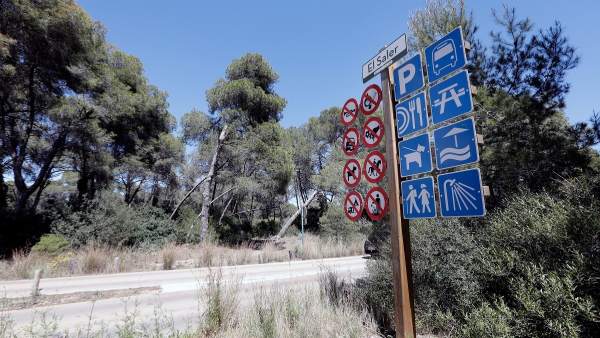 Hallan a una mujer herida en el cuello y el cadáver de un hombre colgando de un árbol en Valencia Hallan a una mujer herida en el cuello y el cadáver de un hombre colgando de un árbol en Valencia