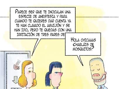 Plagas Cotidianas