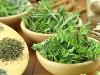 Los antepasados de la viagra: los afrodisíacos naturales