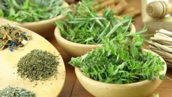 Los antepasados de la viagra: los afrodisíacos naturales Los antepasados de la viagra: los afrodisíacos naturales