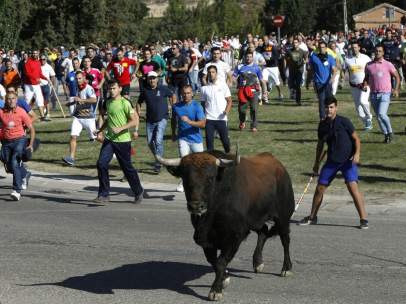 Toro de la Vega