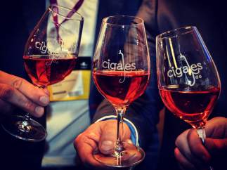 Vinos de la d.O Cigales