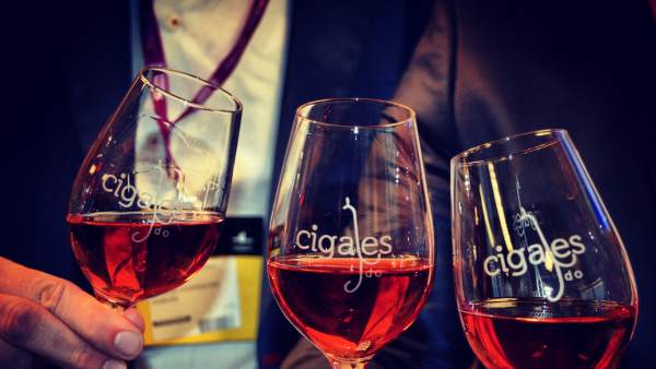 Vinos de la d.O Cigales Vinos de la d.O Cigales