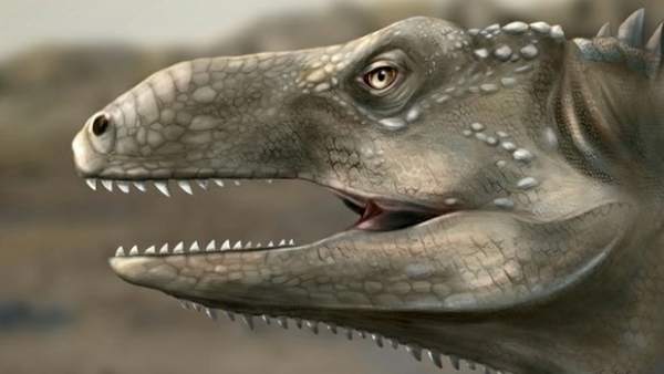 Nuevo reptil prehistórico Nuevo reptil prehistórico