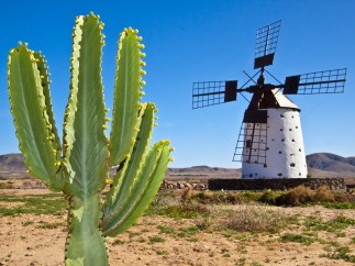 Fuerteventura