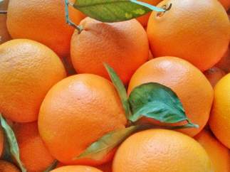 Las cajas de frutas