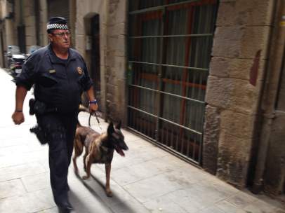 Mosso y perro en una operación en Barcelona.