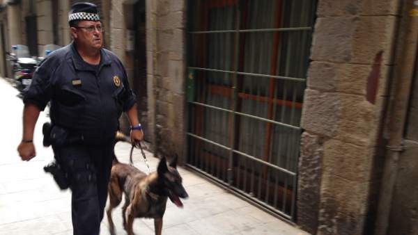 Mosso y perro en una operación en Barcelona. Mosso y perro en una operación en Barcelona.