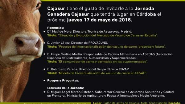 Programación de la jornada Programación de la jornada