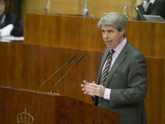 El presidente de la Comunidad en funciones, Ángel Garrido, en la Asamblea
