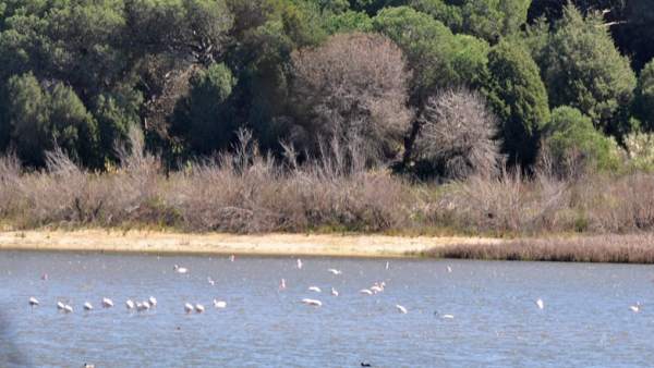 Laguna de El Portil. Laguna de El Portil.