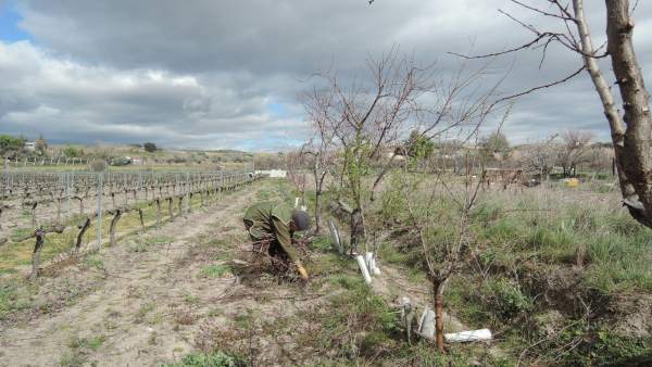Trabajador agrario, trabajo agrario, cultivar, cultivo, cultivando, cultivos Trabajador agrario, trabajo agrario, cultivar, cultivo, cultivando, cultivos