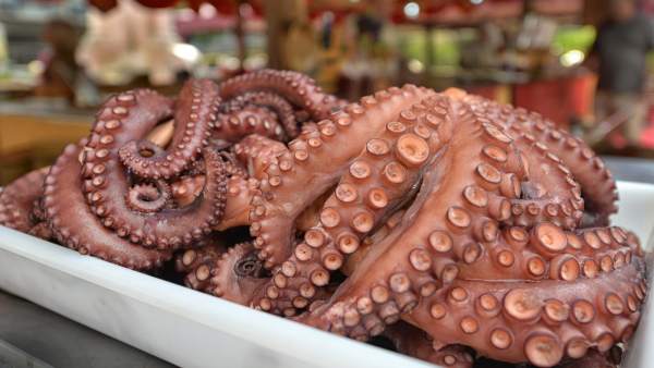 Pulpo gallego Pulpo gallego