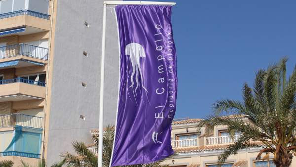 Banderola que anuncia la presencia de medusas en las playas de El Campello Banderola que anuncia la presencia de medusas en las playas de El Campello