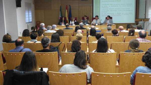 Presentación de la Ley del Voluntariado Presentación de la Ley del Voluntariado