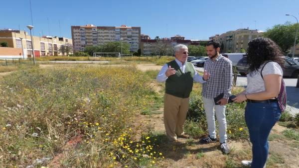 IU avisa de la proliferación de la maleza IU avisa de la proliferación de la maleza