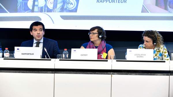 Mikel Irujo, delegado navarro en Bruselas, en un momento de su comparecencia. Mikel Irujo, delegado navarro en Bruselas, en un momento de su comparecencia.