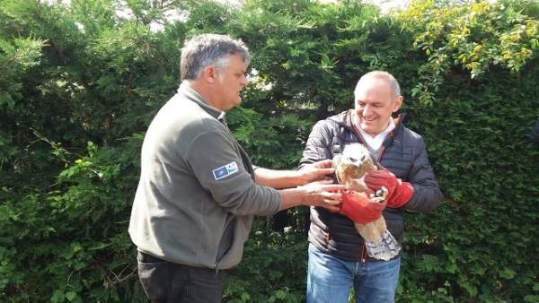 Proyecto de recuperación del águila Bonelli. Proyecto de recuperación del águila Bonelli.