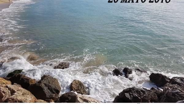 Limpieza fondo marino Limpieza fondo marino