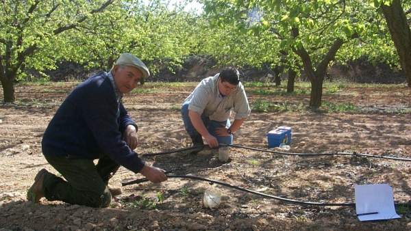 Agricultor, Riego, Cultivo, Campo, Agricultor, Riego, Cultivo, Campo,