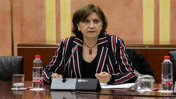 EMELINA FERNÁNDEZ CONSEJO AUDIOVIDUAL ANDALUZ EMELINA FERNÁNDEZ CONSEJO AUDIOVIDUAL ANDALUZ