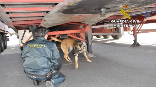 Un agente de Guardia Civil inspecciona un camión en el Puerto de Almería Un agente de Guardia Civil inspecciona un camión en el Puerto de Almería