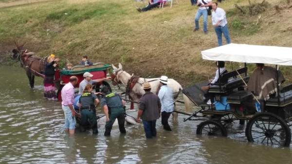 Agentes del Seprona asisten a un animal desvanecido en el Quema Agentes del Seprona asisten a un animal desvanecido en el Quema