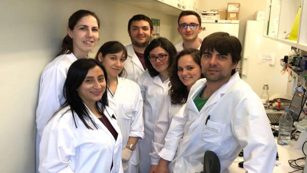 Proyecto de investigación sobre agentes virales Proyecto de investigación sobre agentes virales